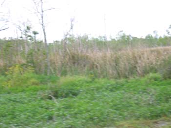 IMG_0143