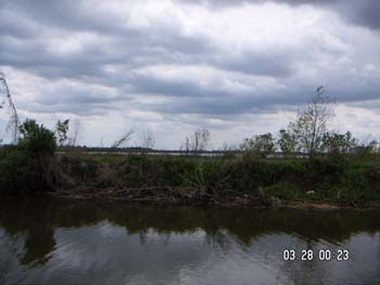 PICT0010