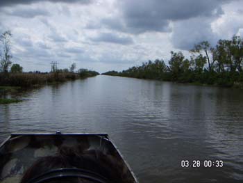 PICT0020