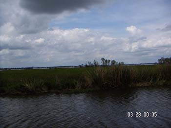 PICT0022