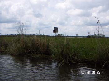 PICT0023