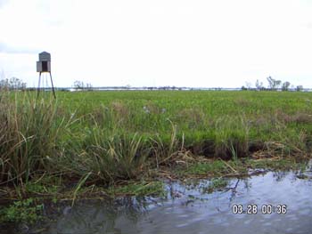 PICT0024