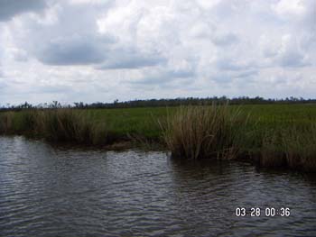 PICT0025