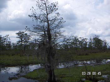 PICT0048
