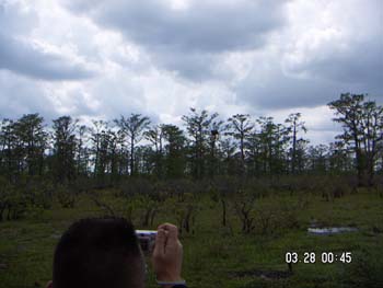 PICT0049
