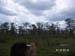 PICT0049